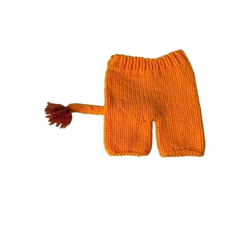 Newborn Photo Session Outfit Lion Costume Hand knit Baby Infant Hat Cap Pants - Picture 3 of 9